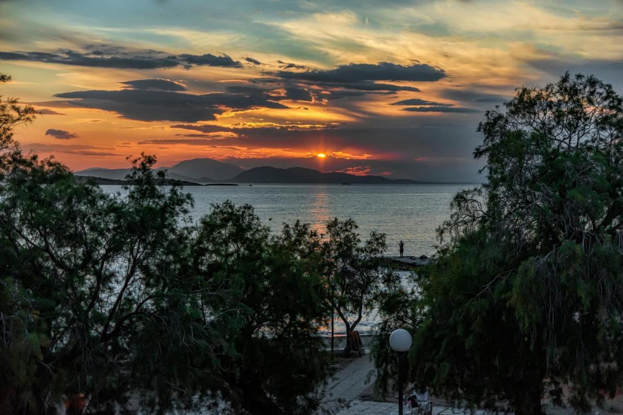 Amazing Seafront Apartment Athens Riviera Εξωτερικό φωτογραφία